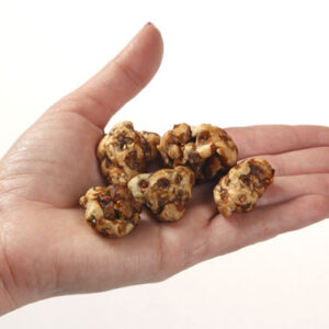 Truffels Tampanensis