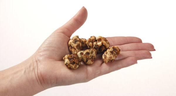 Truffels Tampanensis