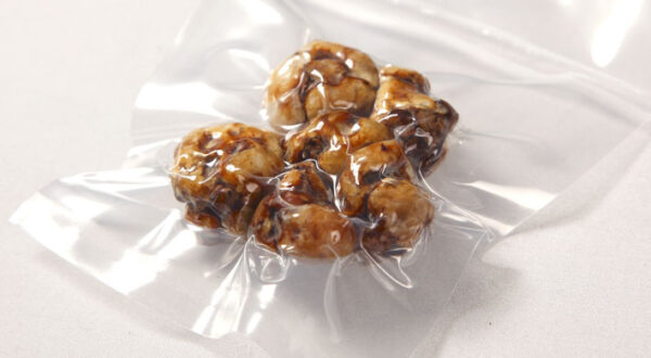Truffels Tampanensis - Afbeelding 2